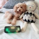 ㈜지엠에스 | 블루투스 스피커 오디오 led 가성비 usb 휴대용 브루투스 미니 음향기기 인테리어 추천 실사용 리얼후기