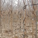 이팝농장 이미지