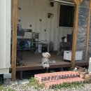 투포캠프 | 청도애견동반 에어비앤비 투포캠프 내돈내산 후기