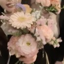 하나로 가로수 정비사업 | 롯데호텔 서울 소공동 크리스탈볼룸 결혼식 : 롯데호텔 서울 본식후기🩵💍2025.5