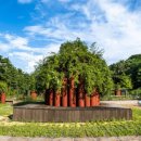 가을노을B 이미지