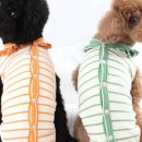 큐어메디 이미지