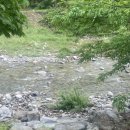 현태네튀김분점 이미지