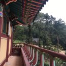 지축동 흥국사길 이미지