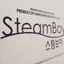 스팀보이