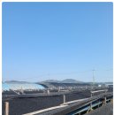 국보도매약초사