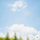 여량중학교 이미지