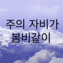 주의 자비가 내려와 이미지