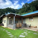 파아란지붕 | 서울 근교 촌캉스 에어비앤비 단체 숙소 추천 강원도 원주 파아란지붕