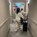 시드니호텔투 이미지