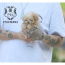 띠아몽 | 하남 말티푸 분양 비비드 켄넬 가보시면 후회없음