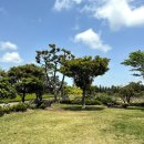 제주도 서귀포 표선 가볼만한곳 녹차밭 녹차동굴 &lt;오늘은 녹차한잔&gt; 방문후기