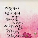 the좋아진다 이미지