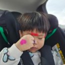 도우카시트
