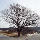 용곡보건진료소 이미지