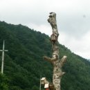 호랑소펜션 | 2014년 강원도 오지포인트