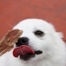 야이노마 이미지