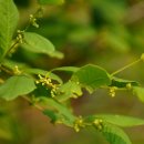 하천리-12 이미지