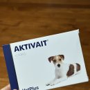 하나벳 | 벳플러스 액티베이트 후기 (강아지치매영양제 추천)