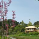 천리포수목원 이미지