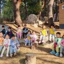 솔바람 유아숲체험원 이미지