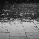 철이헤어 이미지