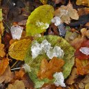 계절의기억 이미지