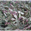 제주조각공원 이미지