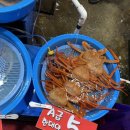 수산시장주차장 | 주문진 어민 수산시장 영업시간 주차장 홍게 구입 후기