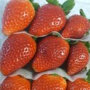 두리 한우 농장 이미지