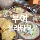올라타코 네이버블로그