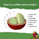 체리빈Coffee 이미지