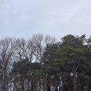 애련농장 이미지