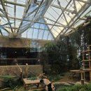 서기 | 에버랜드 판다월드 입장권 시간 큐패스 스마트줄서기 평일 후기