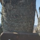 경기둘레길 연천10코스 이미지