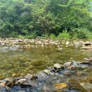 봉평 물소리펜션 이미지