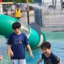 민용기 태권스쿨 이미지