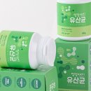 아띠멍멍 이미지