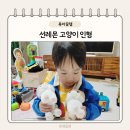 등원중학교 | 선레몬 고양이 인형 2살 아기선물 애착인형 추천