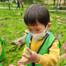 모라산림공원 이미지