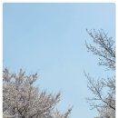 성대2리 이미지