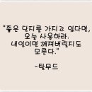 디엠씨투어