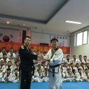 뉴 본 태권도 이미지