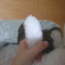 내 강아지 미용실 이미지