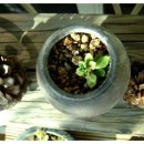 놀이터에서 만나 이미지