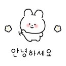 오르투(orto)