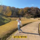 감영길 | 공주 여행 코스 뚜벅이 국내여행 산성시장 나태주문학관