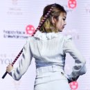 다미 이미지