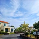 드림인제주 이미지