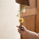 베이비멍 | [하남 성남 베이비스튜디오] 홀리몽스튜디오 아기 돌촬영 후기 돌준맘 추천